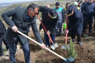 Kilis'te Bal Ormanı'na 2022 yılında 15 bin  adet ballı bitki dikilecek