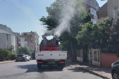 Çayırova’da vektörle mücadele sürüyor