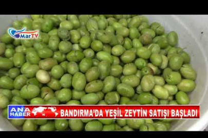 BANDIRMA’DA YEŞİL ZEYTİN SATIŞI BAŞLADI