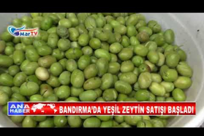 BANDIRMA’DA YEŞİL ZEYTİN SATIŞI BAŞLADI