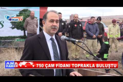 750 ÇAM FİDANI TOPRAKLA BULUŞTU