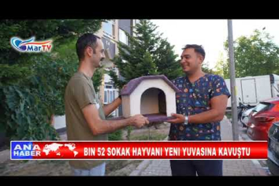 BIN 52 SOKAK HAYVANI YENI YUVASINA KAVUŞTU