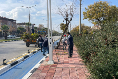 Manisa'da budama çalışmaları sürüyor