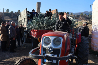 Eskişehir'de zeytincilik yaygınlaştırılacak... 17 bin Gemlik zeytin fidanı dağıtıldı