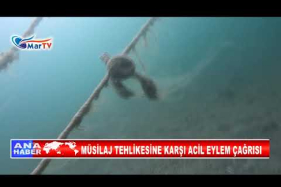 MÜSİLAJ TEHLİKESİNE KARŞI ACİL EYLEM ÇAĞRISI