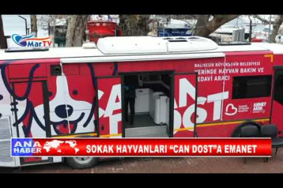 SOKAK HAYVANLARI “CAN DOST”A EMANET