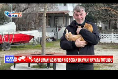 PAŞA LIMANI ADASI’NDA 182 SOKAK HAYVANI HAYATA TUTUNDU